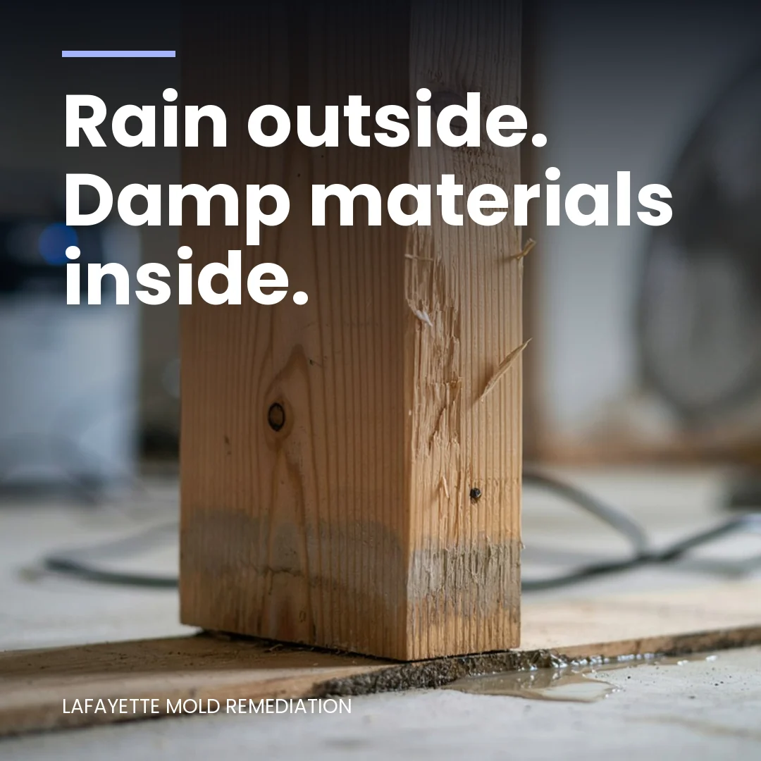 Rain outside. Damp materials inside.